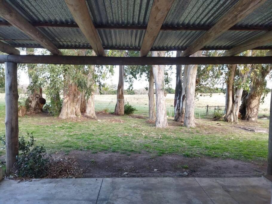 La Nena: Casa De Campo A 15 Minutos Del Centro. Villa Colonia del Sacramento Kültér fotó